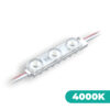 4000K Natural White